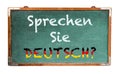 Ã¢â¬ÅSprechen Sie Deutsch?Ã¢â¬Â in German language, Do you speak German? written on a wide green old grungy vintage wooden chalkboard